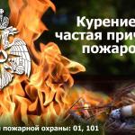 Фотодокумент 22